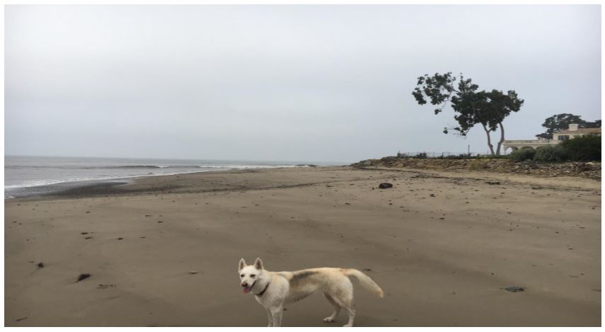Fernald-February-2018 Fernald Point Feb 2018