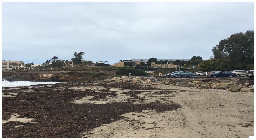 Goleta-Beach-March-2018 Goleta Beach 2018