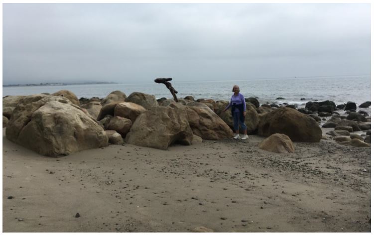 Loon-Point-March-2018 Loon Point - March 2018