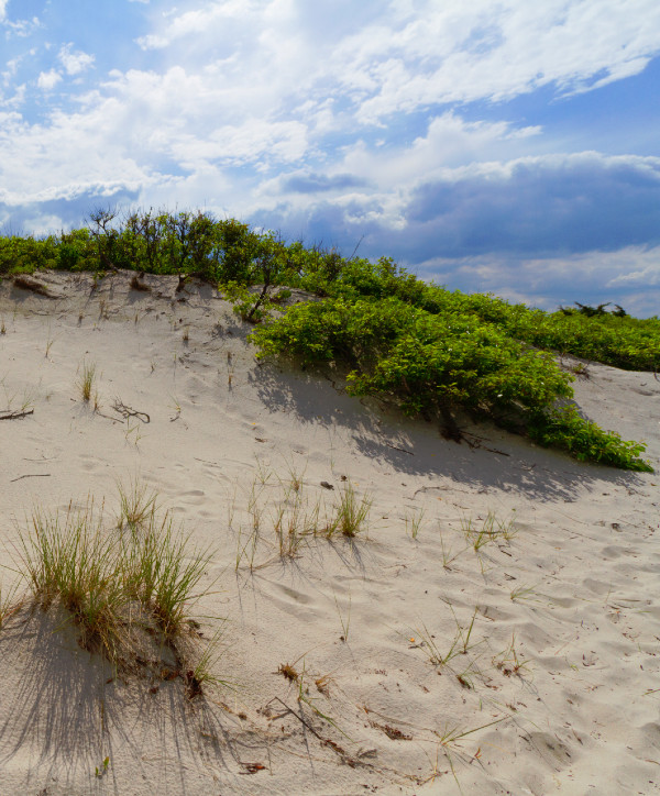 photo of sand dune